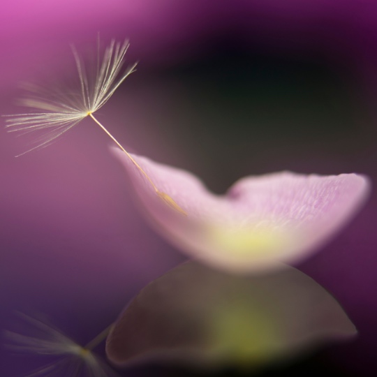 Il massaggio dell’anima Metodo ConSè