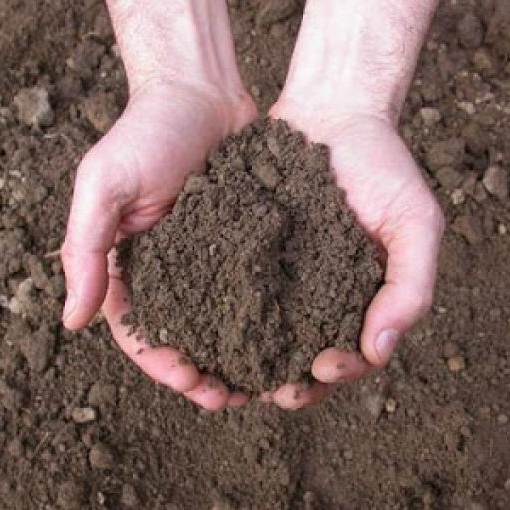 Pratiche igienistiche