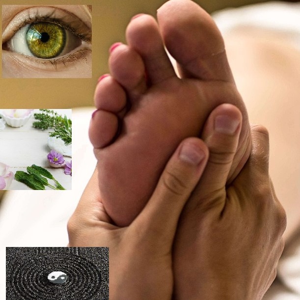 Interdisciplinarietà