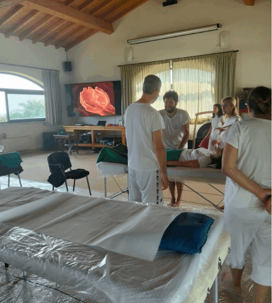 La Tecnica Metamorfica