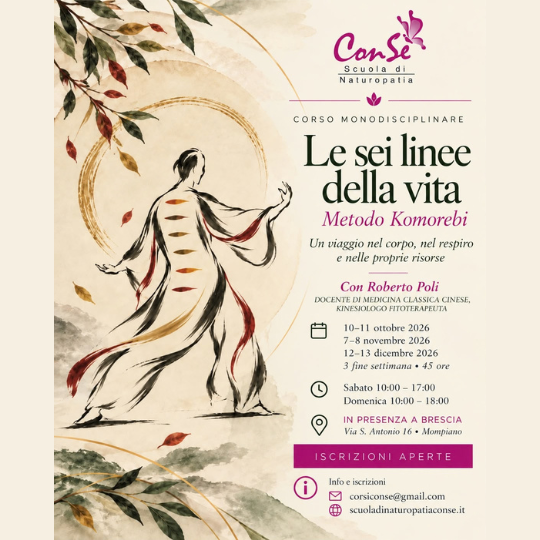 Le sei linee della vita